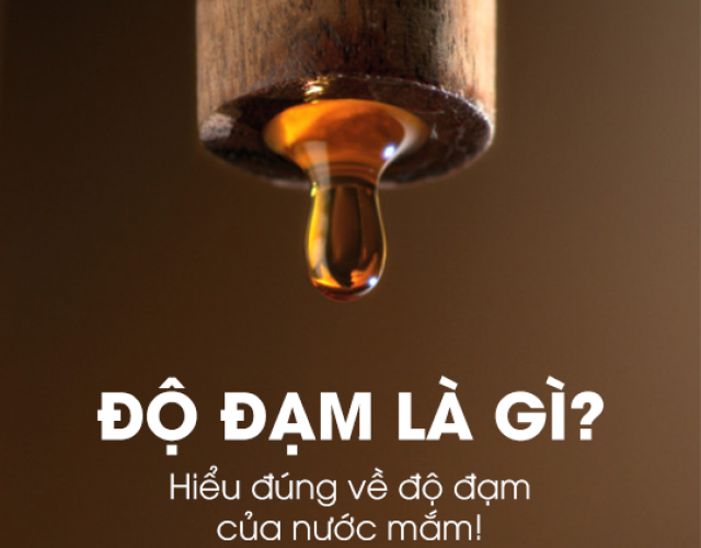 Độ đạm là gì? Hiểu đúng về độ đạm của nước mắm!